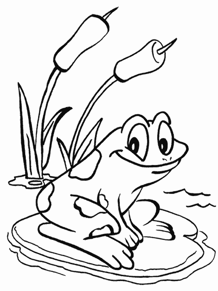 Frogs animals coloring pages coloring book frog coloring pages animal coloring pages coloring pages