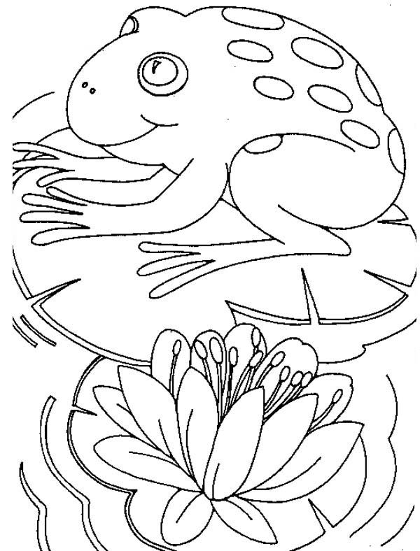 Big frog sitting fortably on lily pad coloring page color luna coloring pages lily pads cool coloring pages