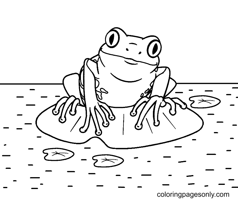 Frog coloring pages printable for free download