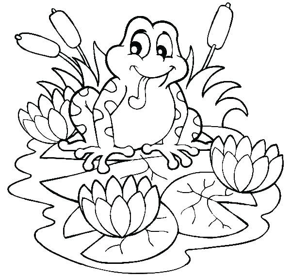 Frog coloring pages pdf printable