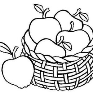 Fruit basket coloring pages printable for free download