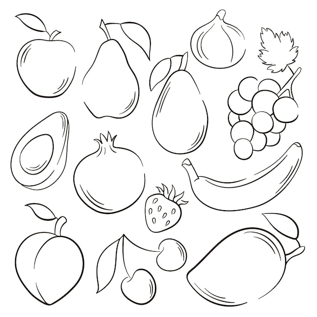 Conjunto de iconos de frutas y bayas de dibujo vectorial colecciãn de tilo de arte de lãnea decorativa vector premium