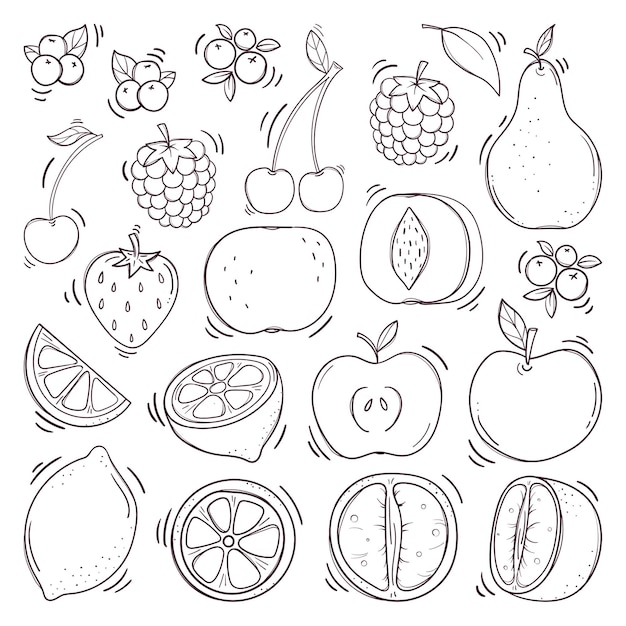 Conjunto de frutas y bayas dibujadas a mano vector premium