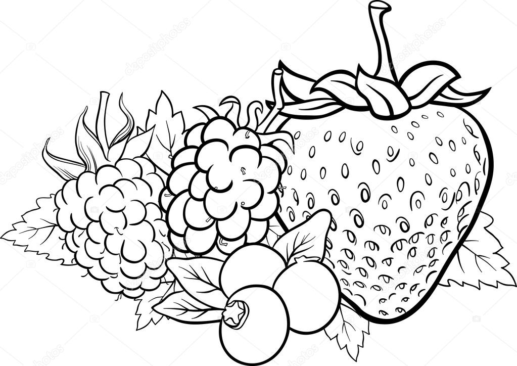 Frutas de bayas ilustraciãn para colorear libro vector de stock de izakowski