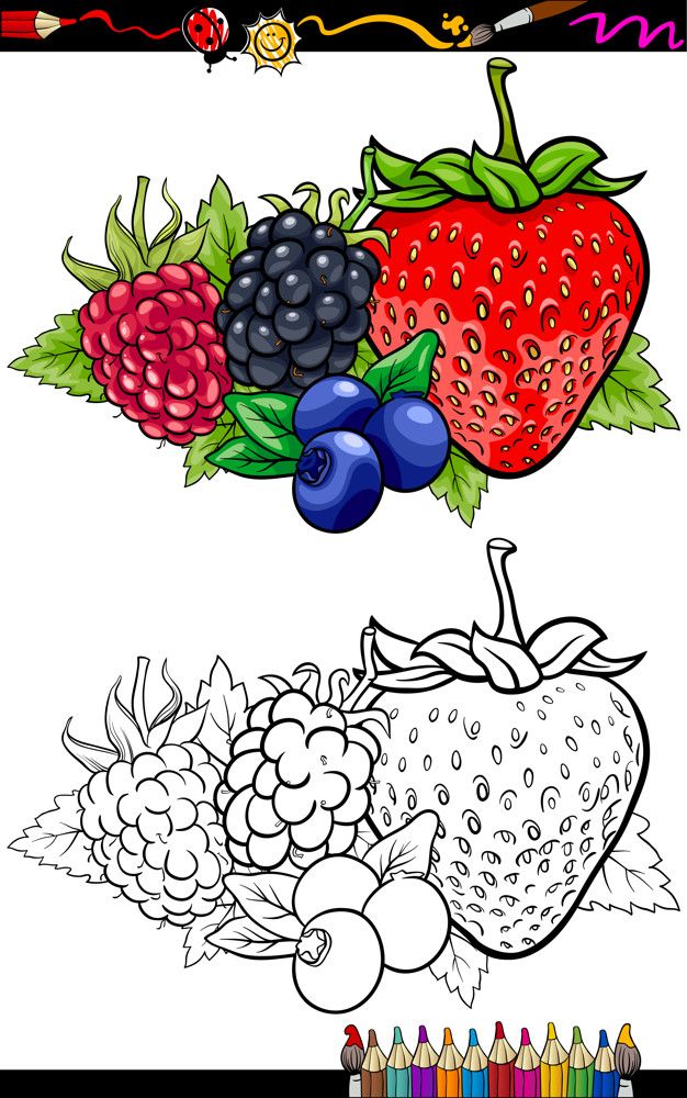 Ilustraciãn de bayas para colorear libro vector premium fruit coloring pag coloring books fruit illustration