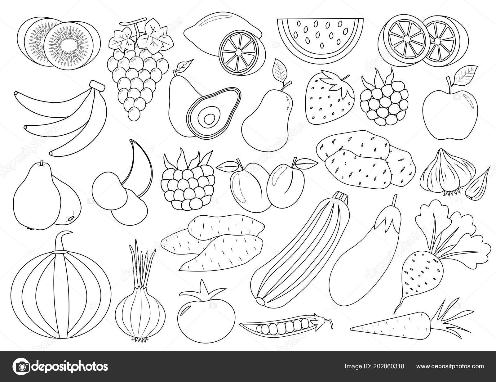 Libro para colorear pãgina dibujos animados frutas bayas verduras icono vector de stock por irusetkayandexru