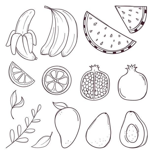 Conjunto de frutas y bayas dibujadas a mano vector premium