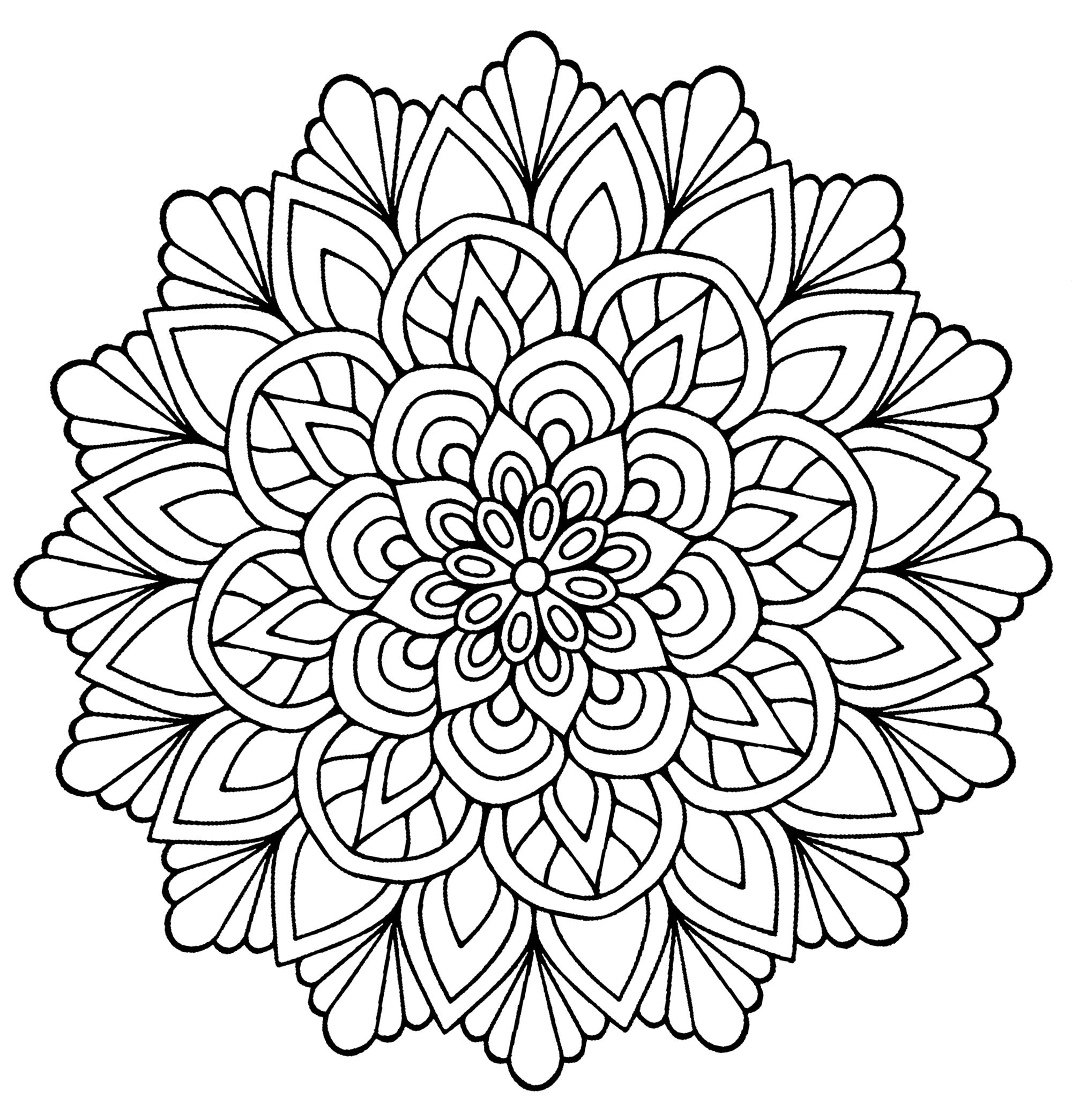 Easy flower with leaves