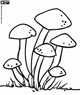 Group of fungi pãginas para colorir fungos pãginas para colorir gratuitas