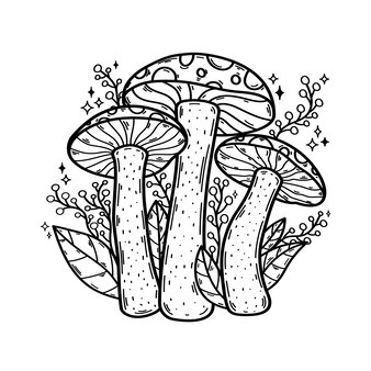 Fungi coloring pages vectors illustrations for free download