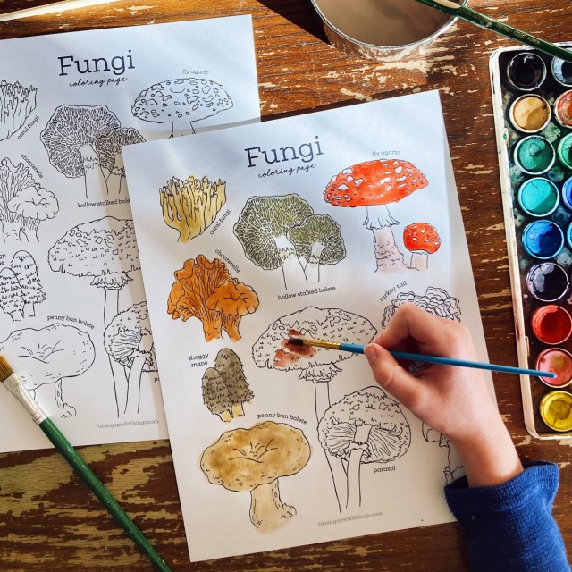 Fungi nature study â and a free coloring page