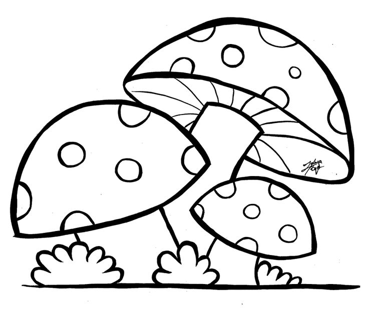 Mushroom coloring pages coloring pages free printable coloring printable coloring pages