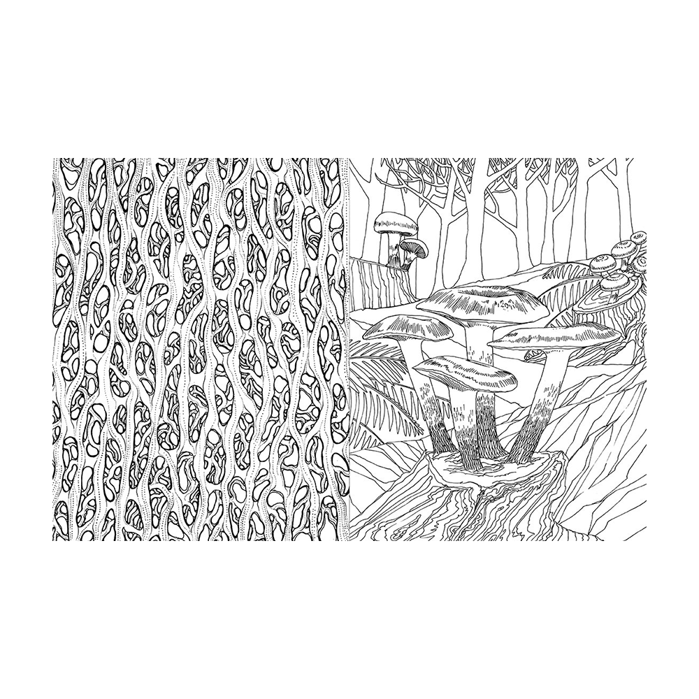 Fantastic fungi coloring book