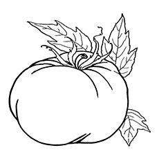 Top free printable pumpkin coloring pages online