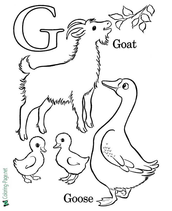 G is for goat
