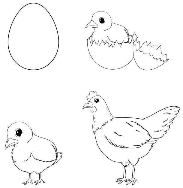 Page coloring easter eggs vectors illustrations for free download