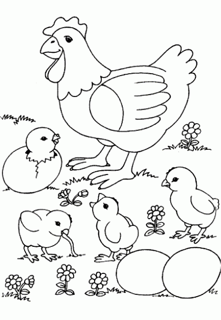 Gallina farm coloring pages farm animal coloring pages bird coloring pages