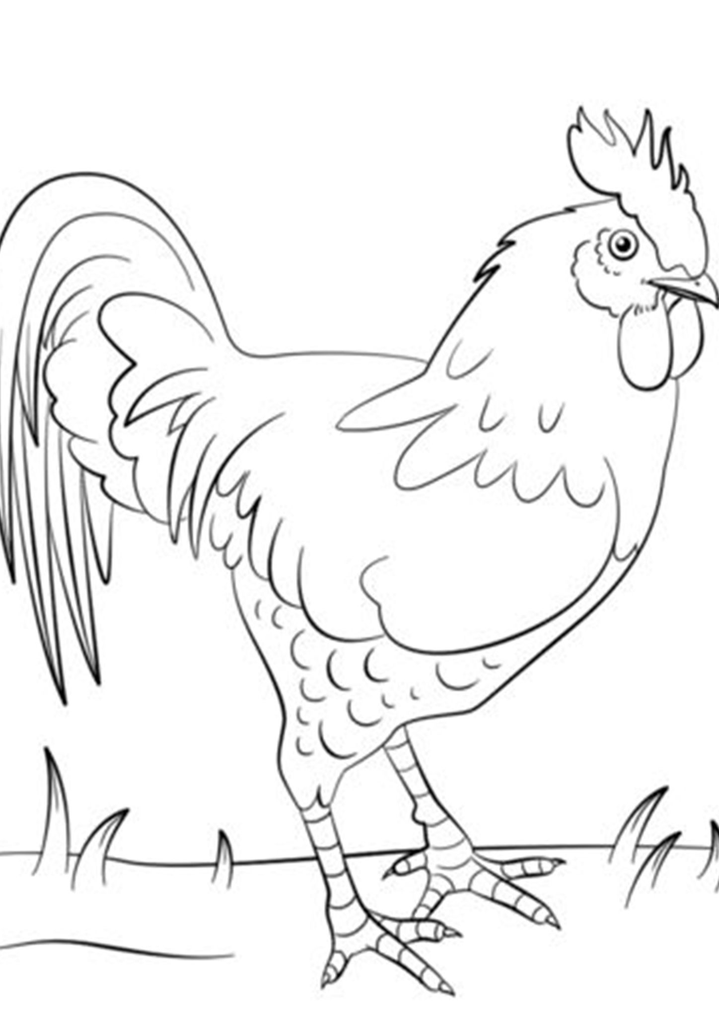 Free easy to print chicken coloring pages dibujos para colorear dibujos para colorear adultos gallinas dibujos