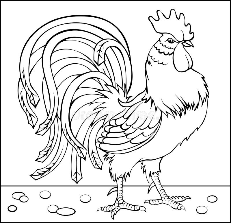 Page with black and white drawing of rooster for coloring stock vector