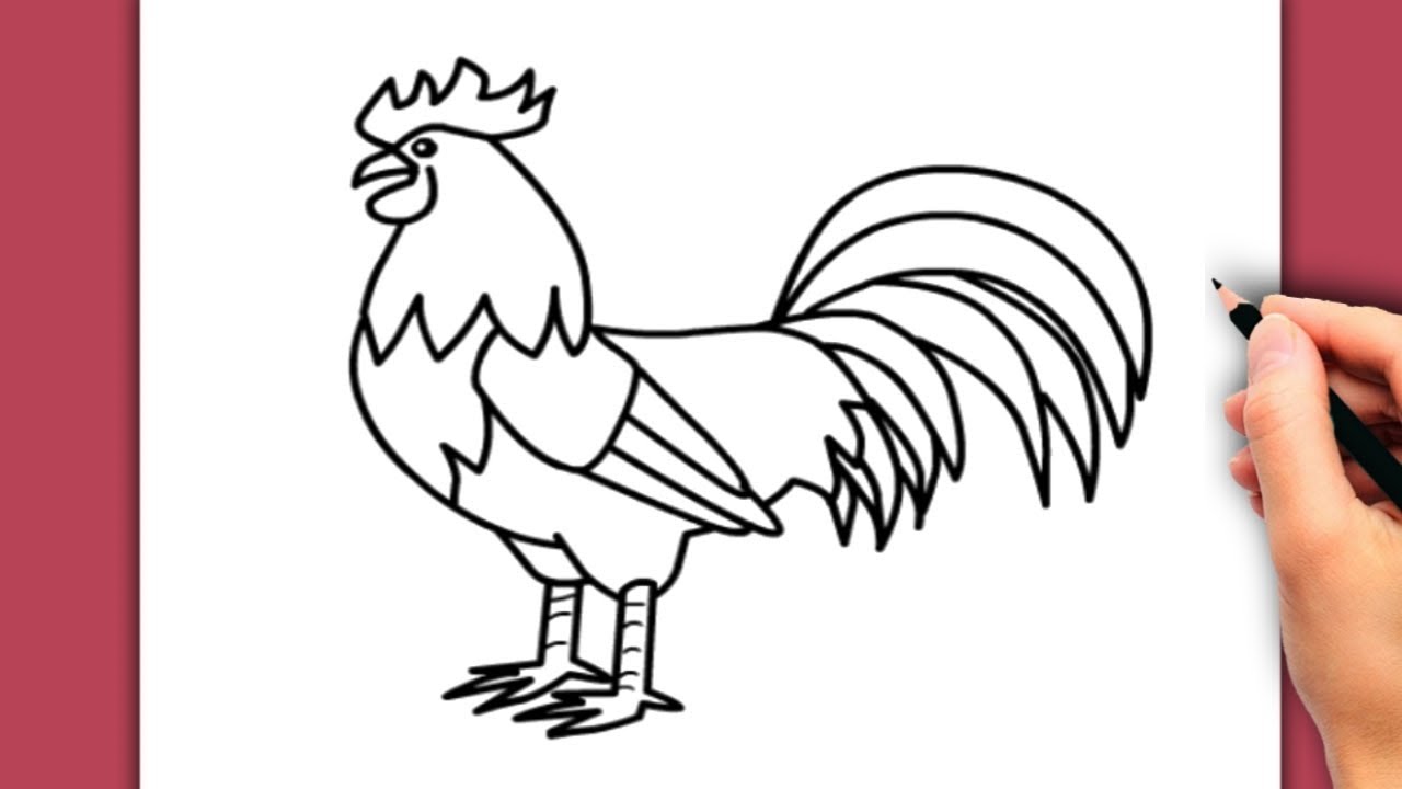 Coe disegnare il gallo