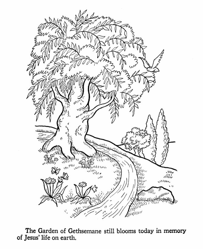 Bible life and times coloring pages