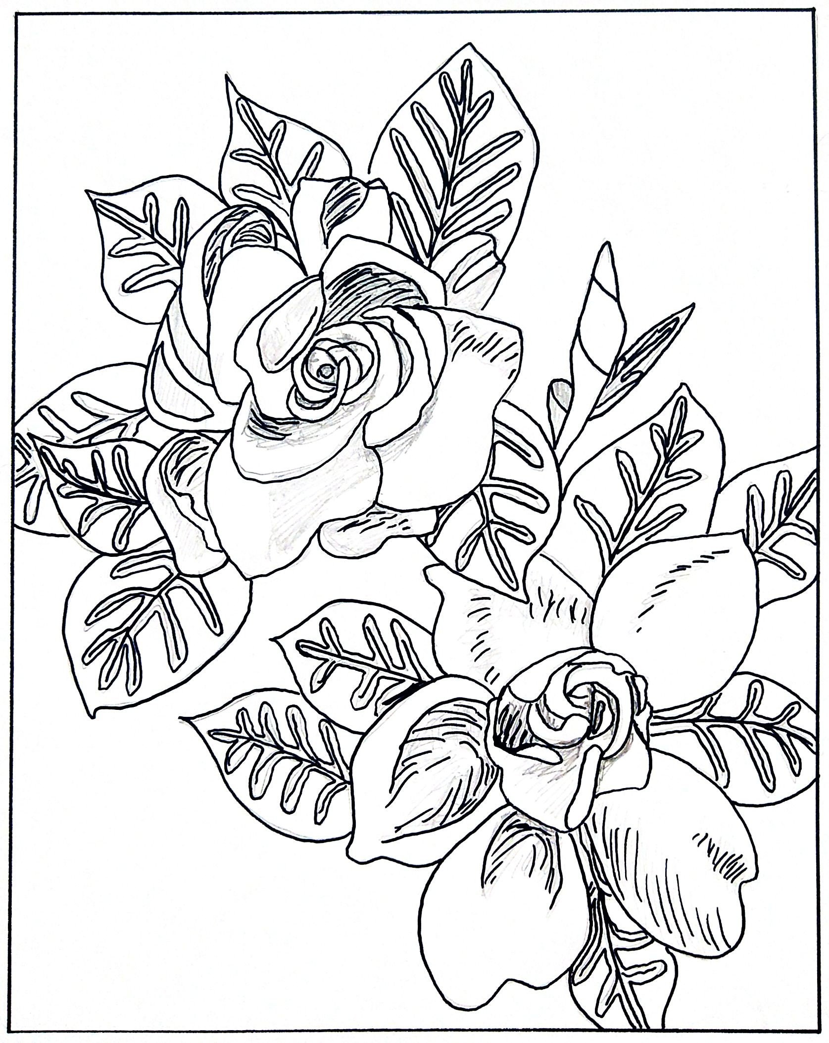 Gardenia coloring page