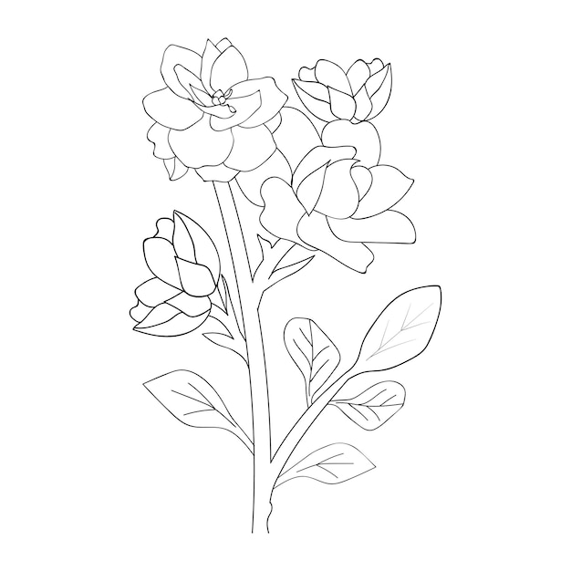 Premium vector spring illustration bouquet of gardenia jasmin line art coloring page