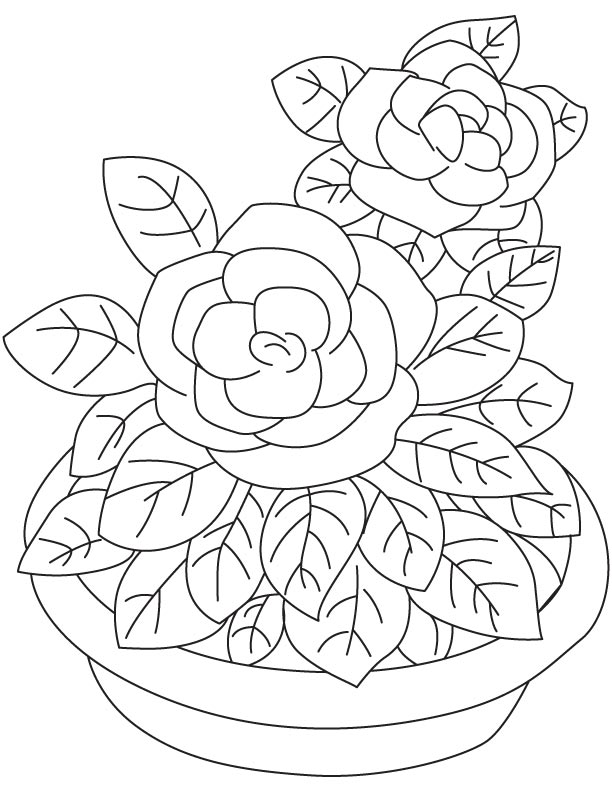 Sweet scent gardenia coloring page download free sweet scent gardenia coloring page for kids best coloring pages