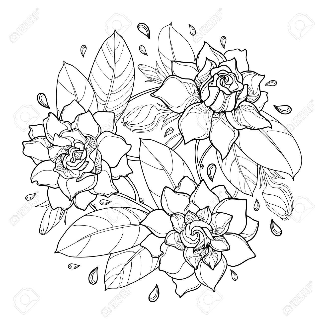 Round bouquet with outline gardenia flower bud and ornate leaf in black isolated on white background bunch with tropical plant gardenia in contour style for summer design and coloring book royalty free