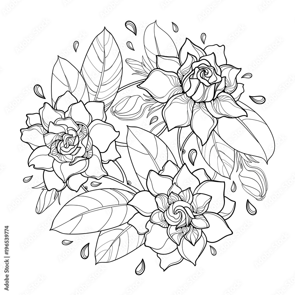 Vector round bouquet with outline gardenia flower bud and ornate leaf in black isolated on white background bunch with tropical plant gardenia in contour style for summer design and coloring book