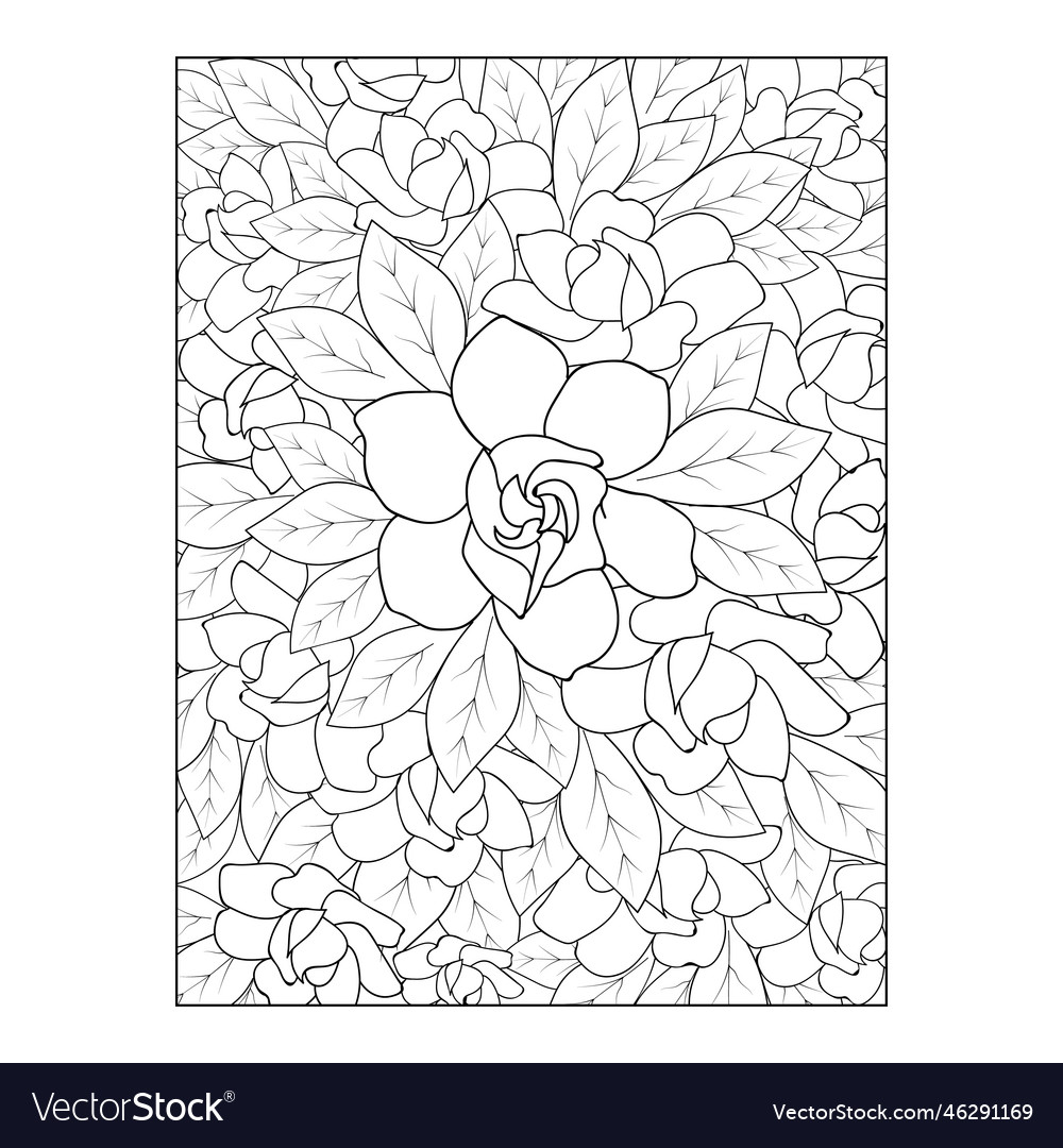 Gardenia flower drawing coloring pages royalty free vector