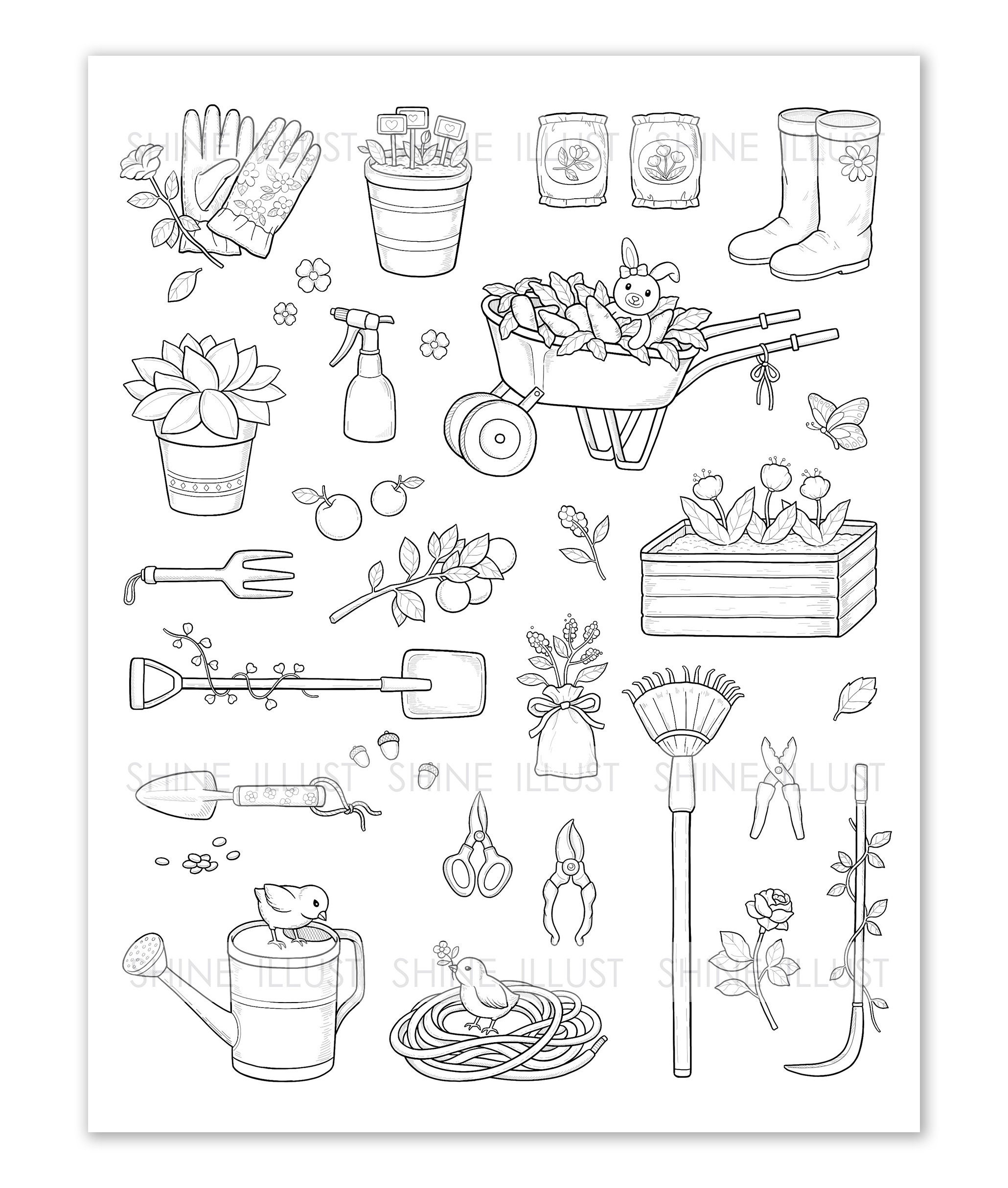 Gardening coloring printable coloring page rabbit butterfly flower coloring carrot rose coloring sheet instant download