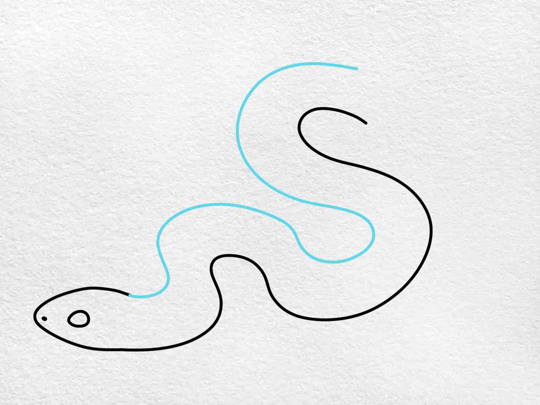 Garter snake drawing