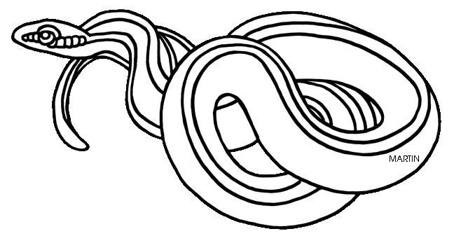 United clip art by phillip martin massachusetts state reptile