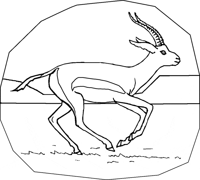 Gazelle coloring page