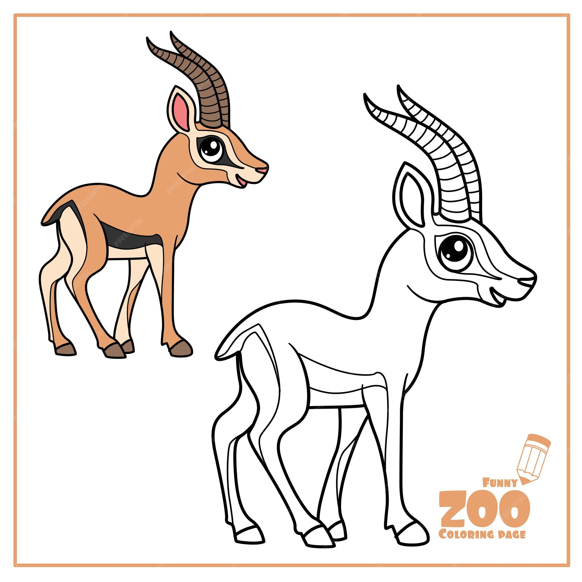 Premium vector cute cartoon little gazelle color and outlined on a white background for coloring page