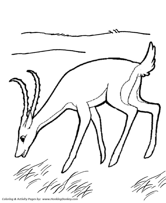 Gazelle coloring pages fast gazelle coloring page and kids activity sheet