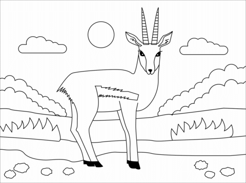 Gazelle coloring page free printable coloring pages