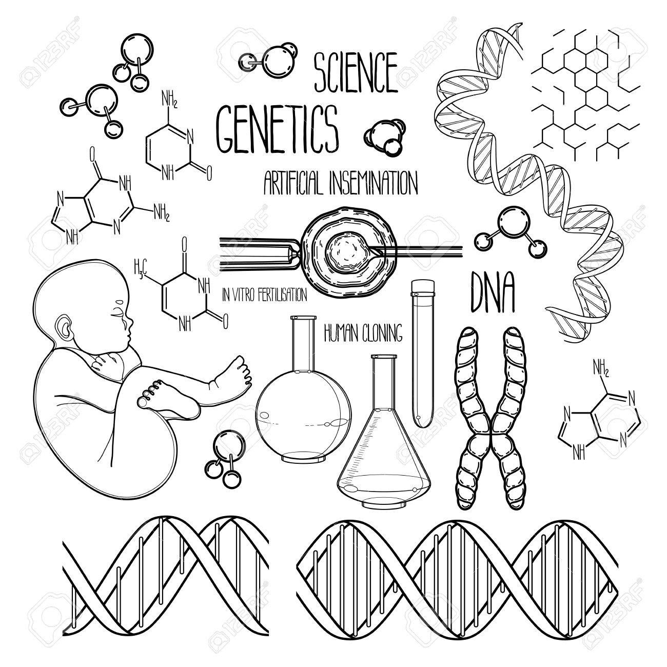 Graphic genetic research set vector medical and science collection isolated on white background coloring book page design for adults and kids royalty free svg cliparts vectors and stock illustration image