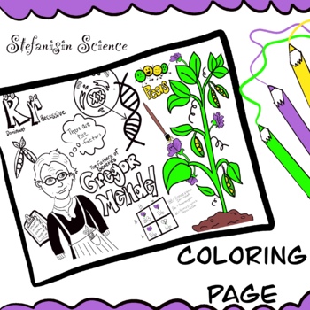 Mendel genetics science coloring page by stefanisin science fun