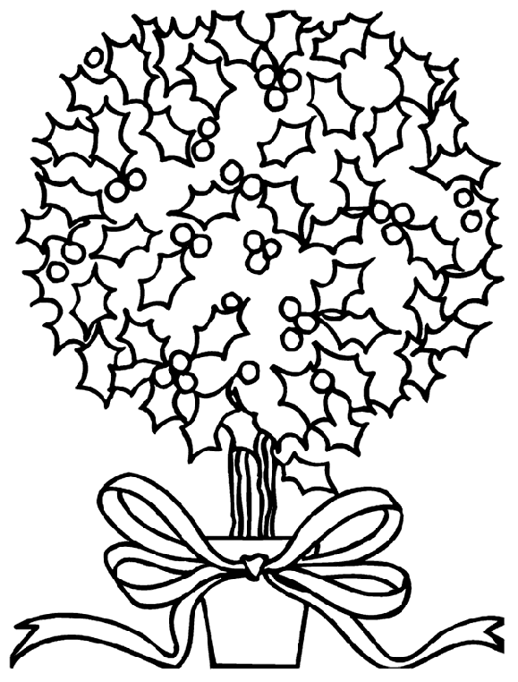Christmas holly bush