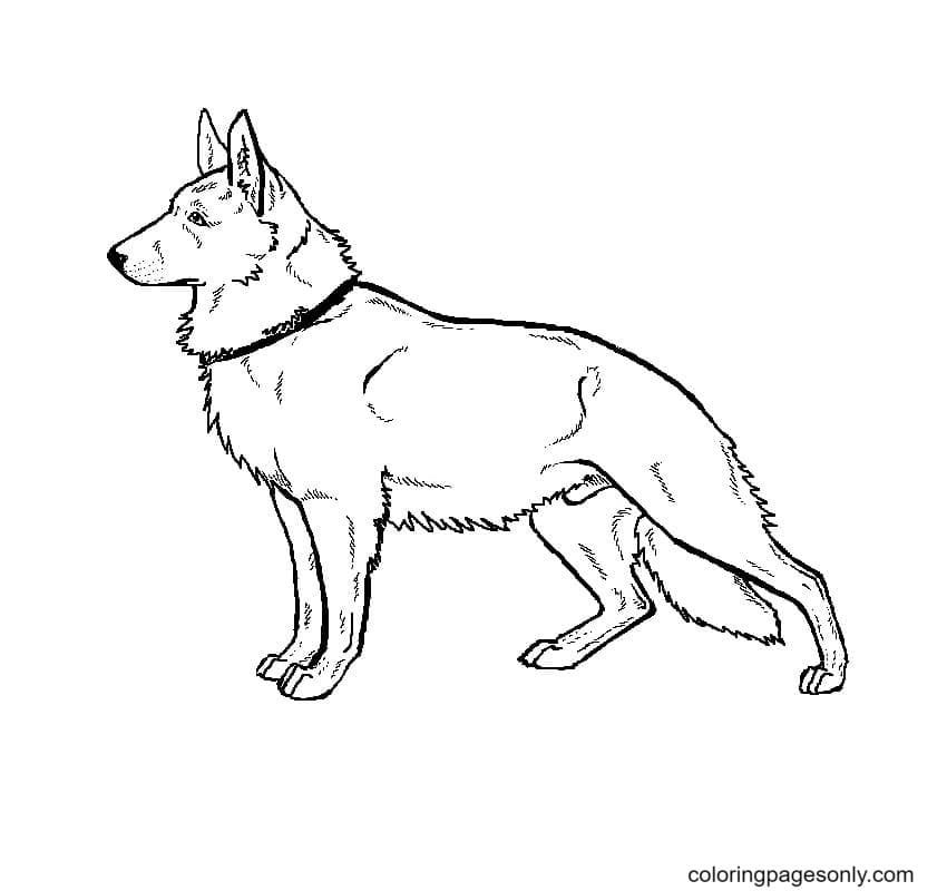 German shepherd coloring pages printable for free download