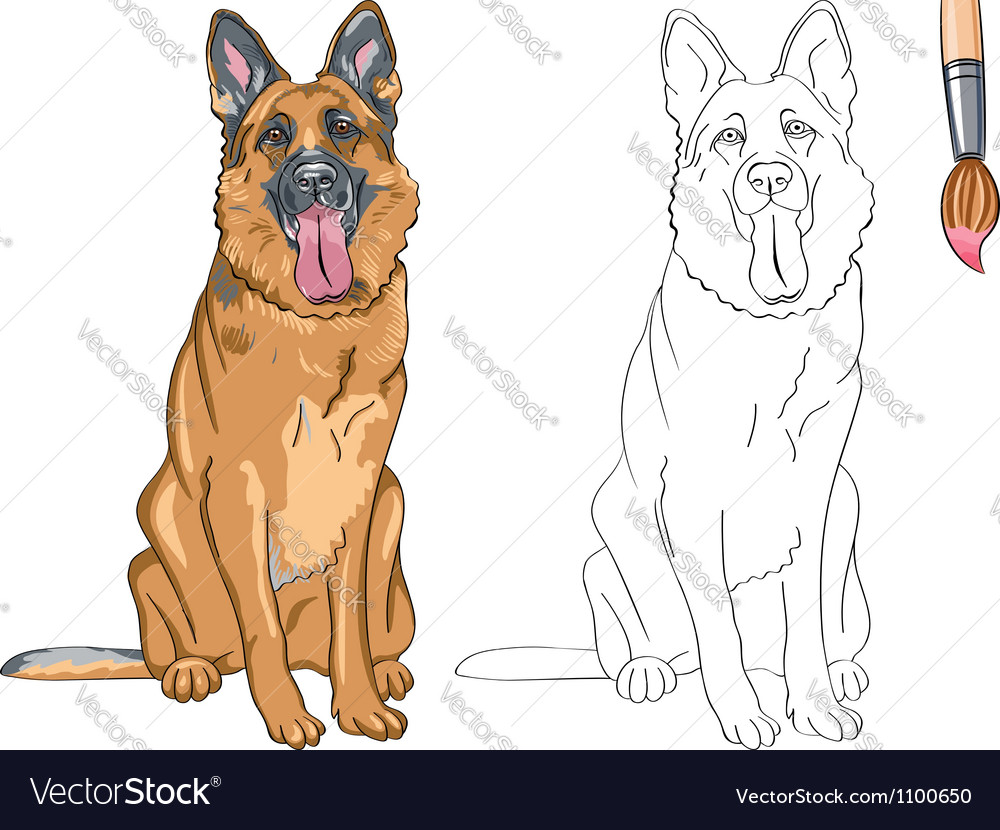 Coloring book of smiling dog german shepherd vector image