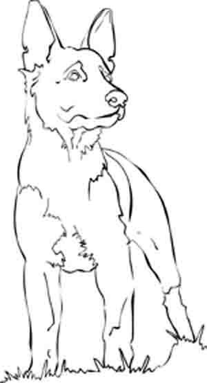 German shepherd dog coloring pages dog outline dog coloring page dog sketch