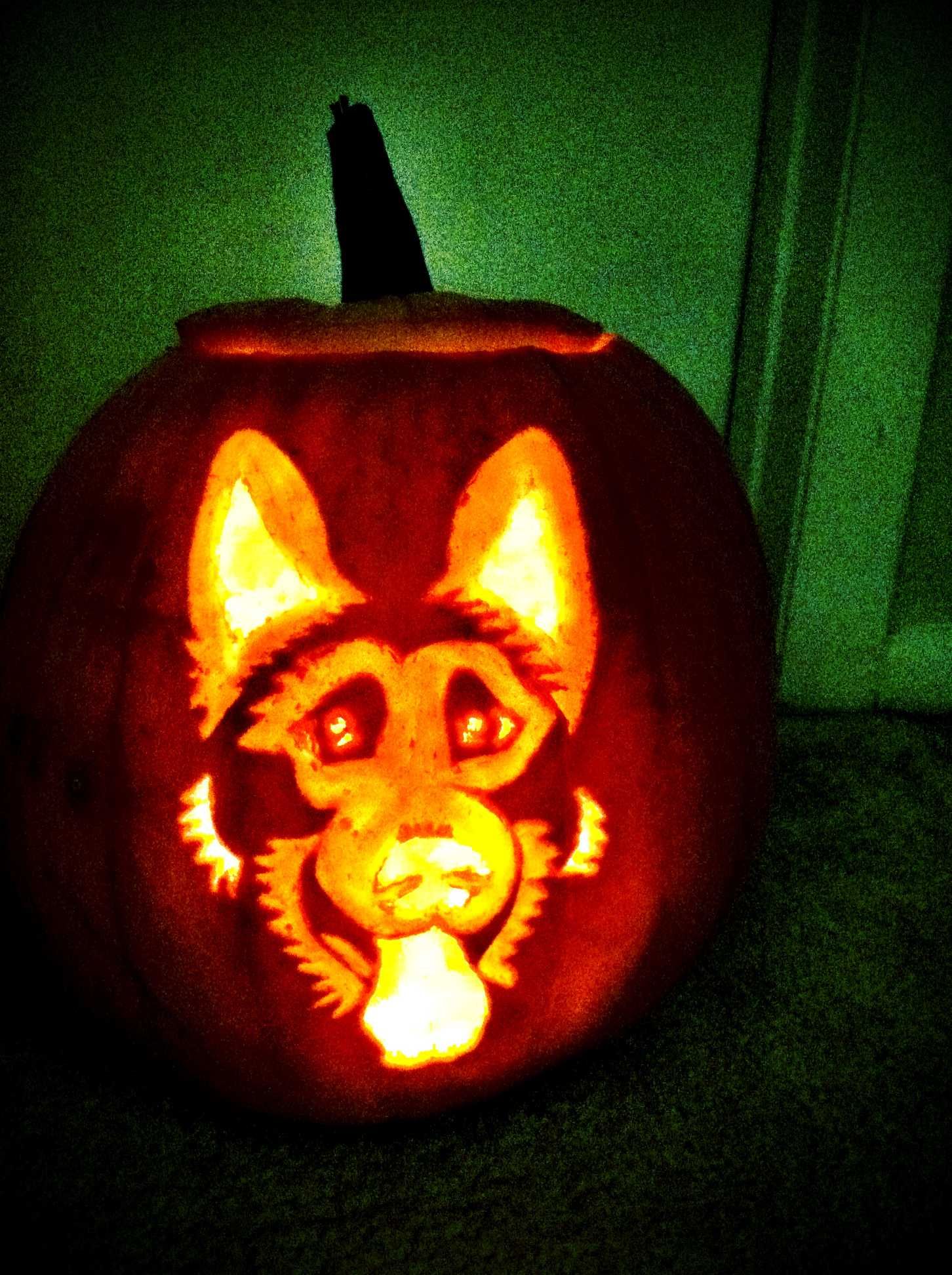 German shepard pumpkin carving dog pumpkin pumpkin carving halloween pumpkins carvings