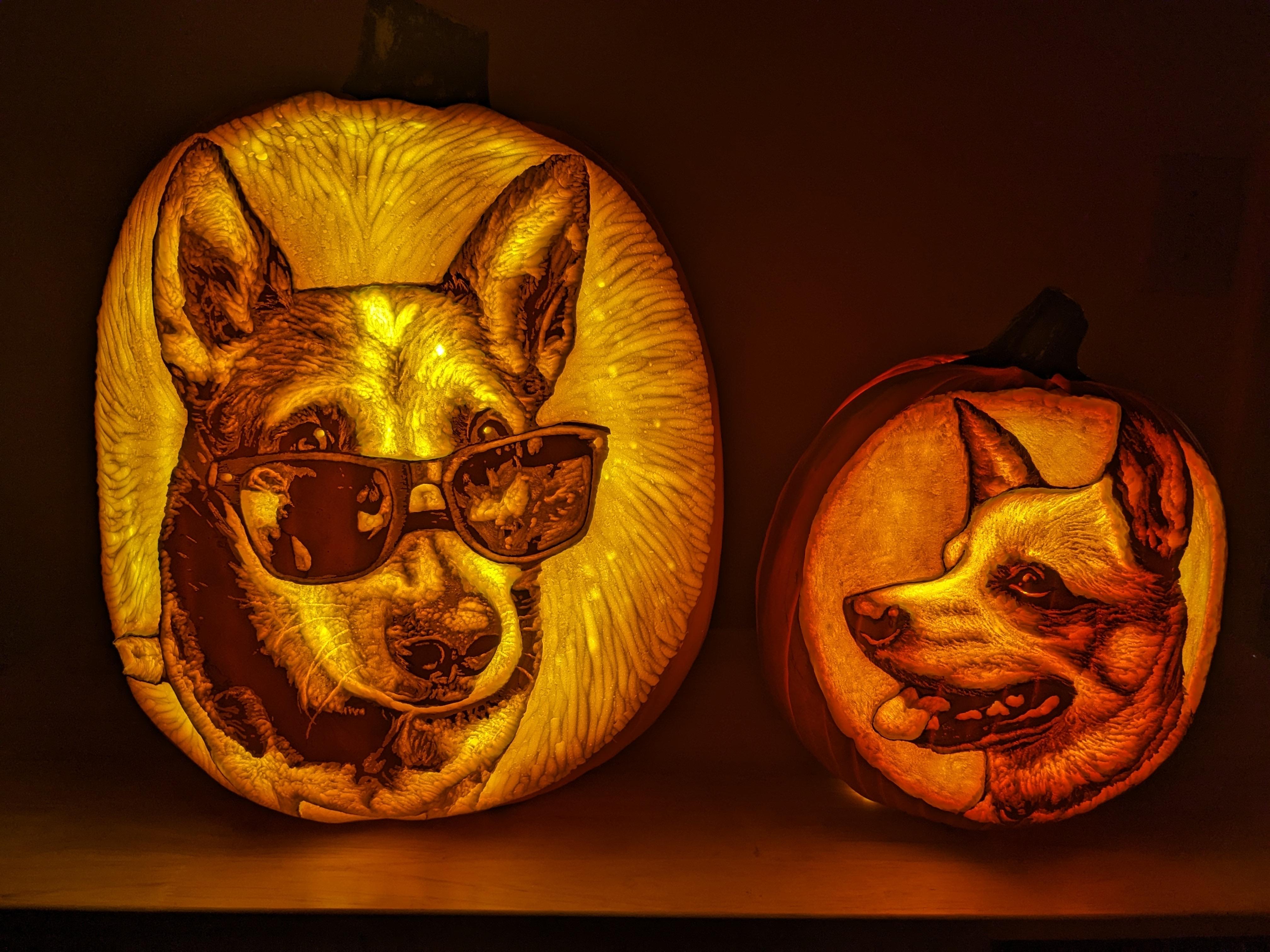 Carved pumpkin puppers rpumpkincarving