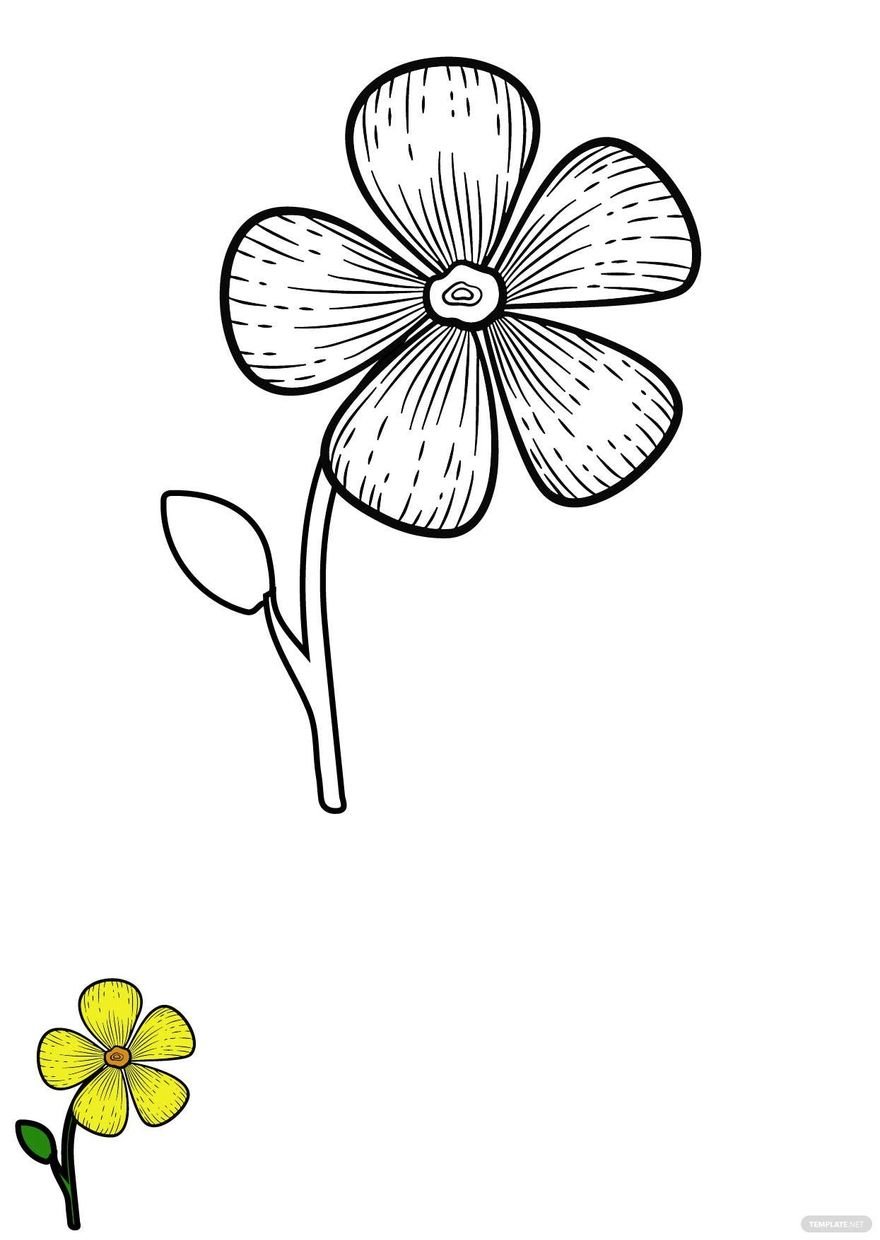 Free large flower coloring page