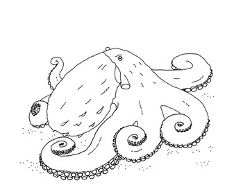 Giant pacific octopus coloring page by mama draw it tpt