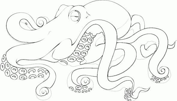 Realistic coloring pages of animals animal coloring pages octopus colors octopus coloring page animal coloring pages