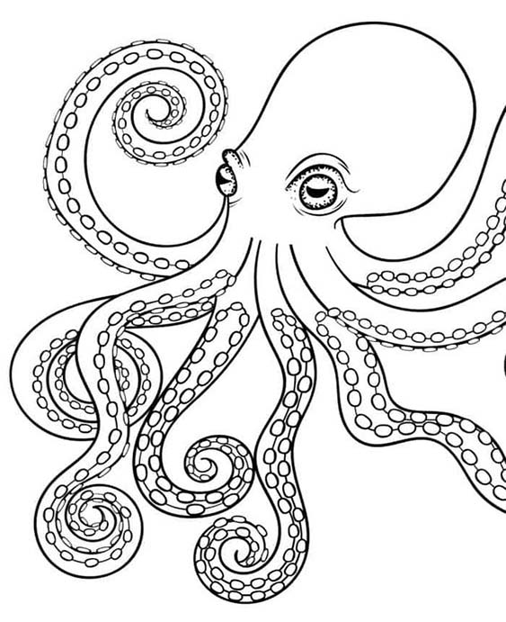Free easy to print octopus coloring pages